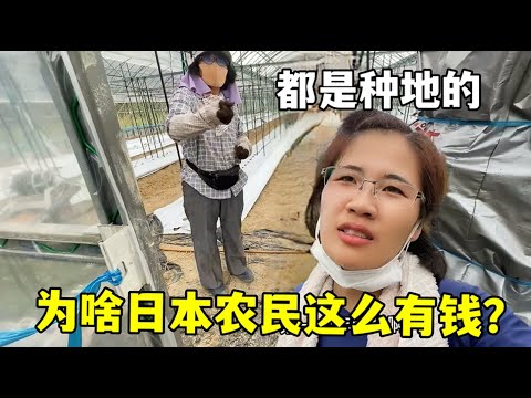 主席警告,世界杯增容,恐降级赛事,皇冠体育app下载,皇冠体育官网,澳门皇冠体育,bet皇冠体育在线