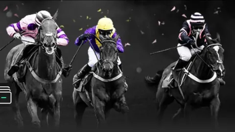 柏维斯塔主场意外低迷，却成数据宠儿：揭秘背后神秘魅力